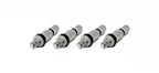 Torque Solution Billet TPMS Valve Stem Kit (Silver) - Subaru / Ford product image