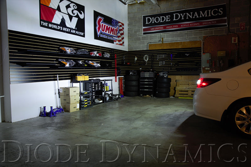 Diode Dynamics Tail as Turn +Backup Module (USDM) Stage 1 - 2015-2019 Subaru Legacy