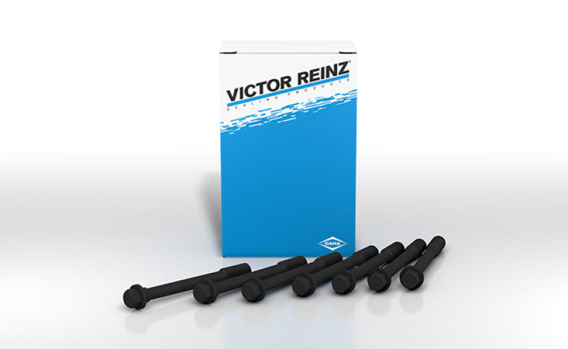Victor Reinz MAHLE Original Cylinder Head Bolts - 1995-1998 Subaru Impreza